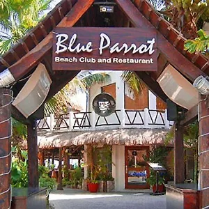 Hotel Blue Parrot